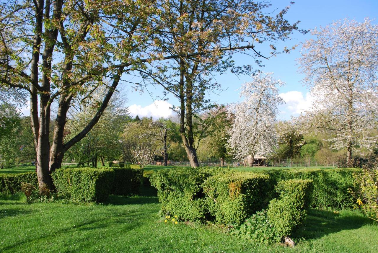 Gites Aux Fleurs De Cerises Le Plessis-Luzarches Exteriér fotografie